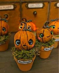 Image 4 of Mme Pumpkin Huguette