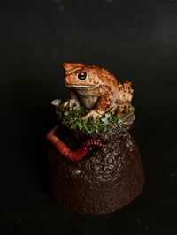 Image 1 of Toad Dome