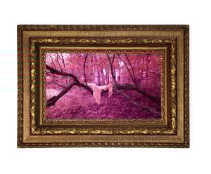 Image of The Whispering Swamp Tree-  by Larry Endicott