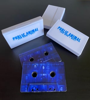 Image of PUBLIC ANIMAL ‘Sun Won’t Wait’ Limited edition cassette