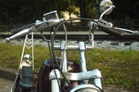 Image 2 of Twisted Z Bars