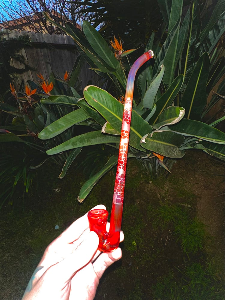 Image of Tequila sunrise Gandalf 