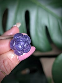 Image 2 of Mini Succulent Collection 