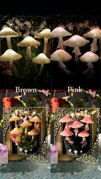 Image 2 of Small led mushroom frames