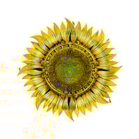 Image 1 of Imperius Solis