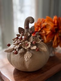 Image 3 of Calabaza Otoño LG 