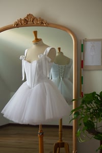 Image 4 of Swan Dress