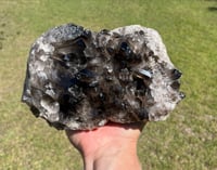 Image 13 of Large Smoky Quartz Points Cluster #2319