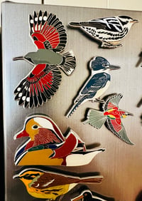 Image 1 of UK Birding Magnets - Choose a species: