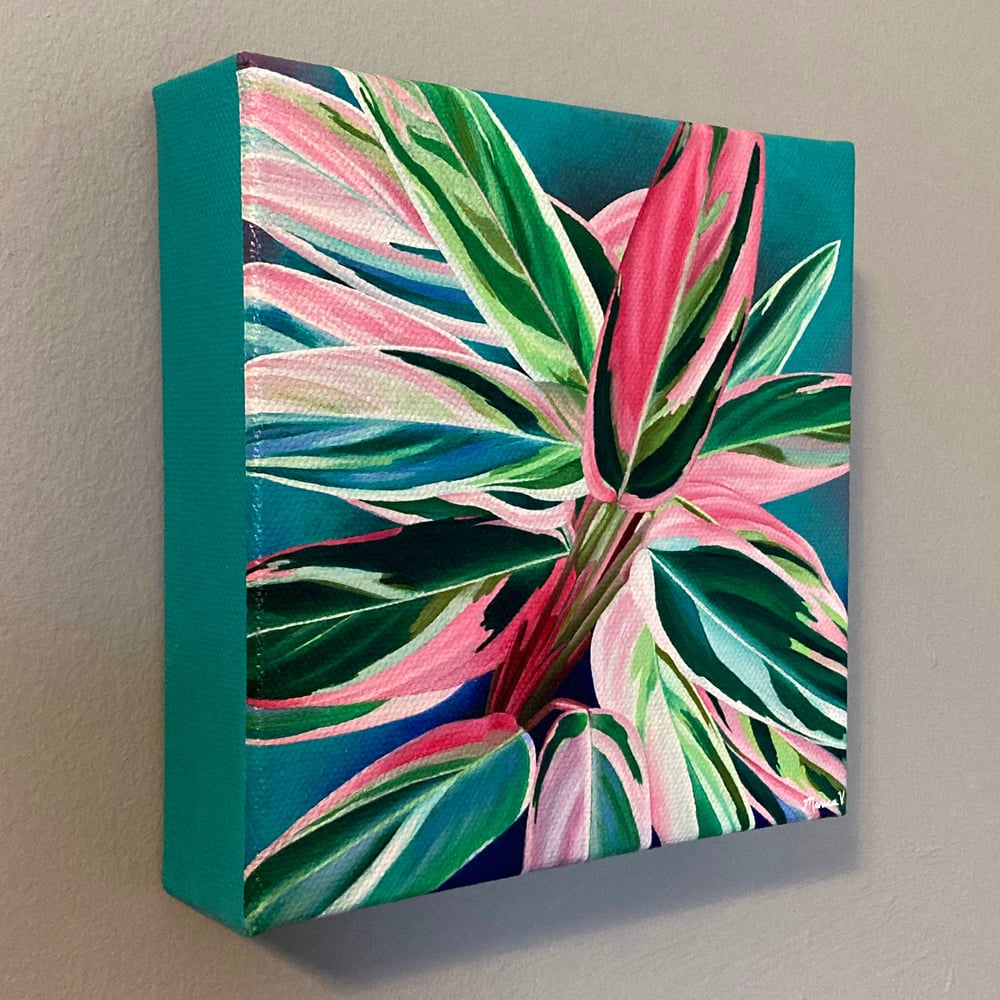 “Stromanthe Triostar” Original Painting