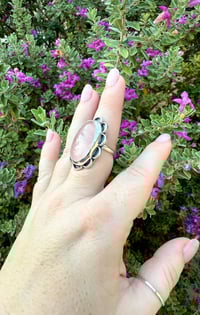 Image 4 of The Camellia (9)