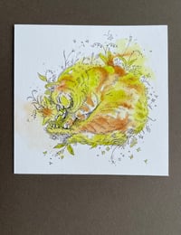 Image 1 of Slumber Party - Kitty Cat Study