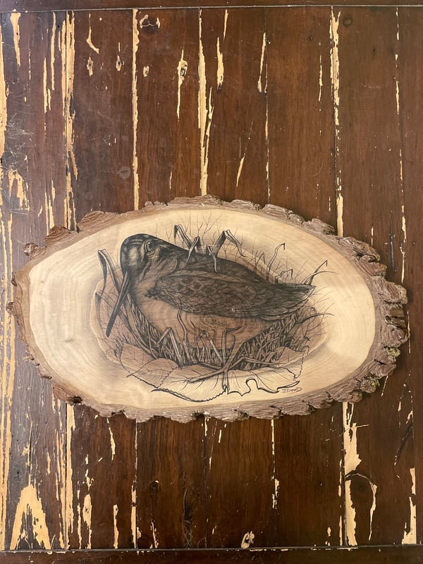 Image of Woodcock on Walnut Elipse