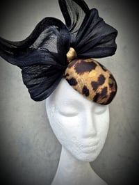 Image 4 of 'Bowie' in Leopard and black