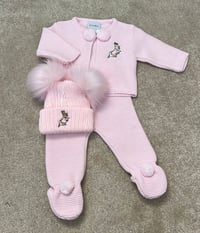 Pink Run Rabbit Pom Set