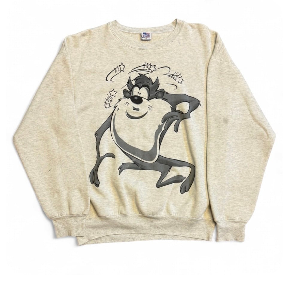 Image of 1990s Looney Tunes Taz Graphix Sweatshirt (L)