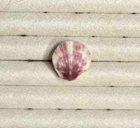 Image 4 of Shell Rings