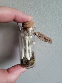 Image 4 of Set of 3 apothecary jars 
