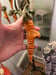 Image of Carrot Ornie 1