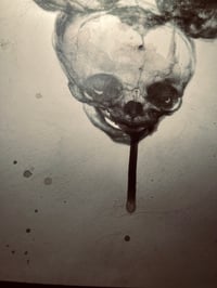 Image 3 of ‘FOETAL MOUSE I’ [ Unique Print - { 1/1 } ] - Hand Embellished Museum Archival Print
