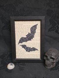 Image 1 of 1800’s biblical BATS with preserved spider web - black framed -3