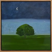 Image 4 of ‘Half Moon Over The Lake’ 