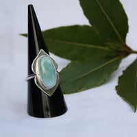 Image 4 of Shielded (Larimar)