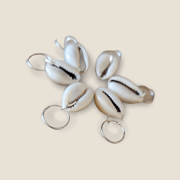 Image of Cowrie Shells