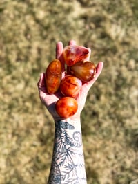 Image 3 of Carnelian Palm Stone