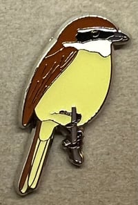 Image 2 of Brown Shrike - December 2021 - UK Birding Pins- Enamel Pin Badge