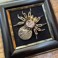 Image 1 of Watch spider (b, 3.5 inches)