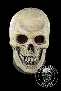 Skull