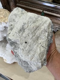 Image 6 of Celestite Open Crystal Cluster #2589