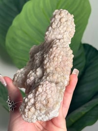 Image 4 of SELF STANDING SPARKLY APOPHYLITE STALACTITES -INDIA- F