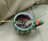Image 3 of Spider Plant in Cactus Mug