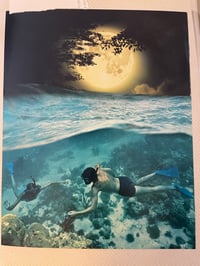 Image 2 of Moon dive