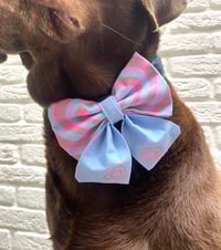 Image 4 of Hypnotic Love, Bow Ties / Sailor Bows