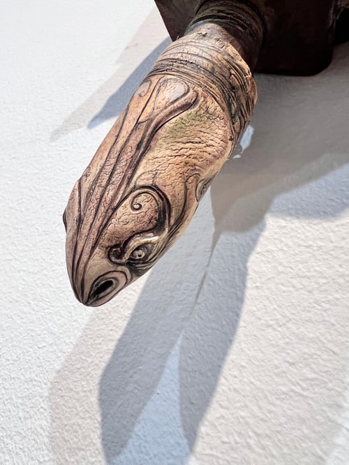 Image of Charles the Turtle- Michelle Tock York