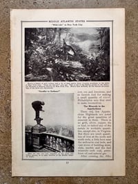 Image 3 of “Go Ahead and Bite The Big Apple. Don’t Mind the Maggots.”