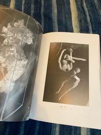 Image 8 of Grape Coloured Breasts, The Dolls of Nori Doi, 1986.