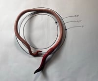 Image 3 of Standard Neck Cuff