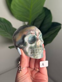 Image 1 of CHOOSE YOUR OWN SEA JASPER SKULL -MADAGASCAR-
