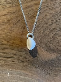 Image 1 of Devon Cowrie on Sterling Silver Chain