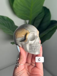 Image 3 of CHOOSE YOUR OWN SEA JASPER SKULL -MADAGASCAR-