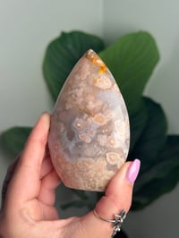 Image 2 of HQ FLOWER AGATE FLAME -MADAGASCAR- B