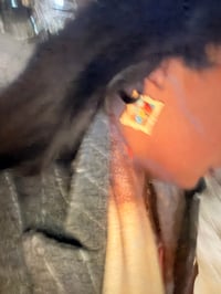 Image 2 of Galerie Earrings