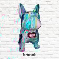 Image 1 of Fortunado