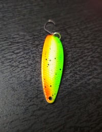 Image 8 of Fire Tiger 