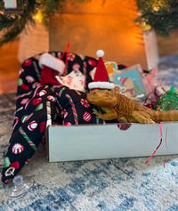 Christmas Reptibox