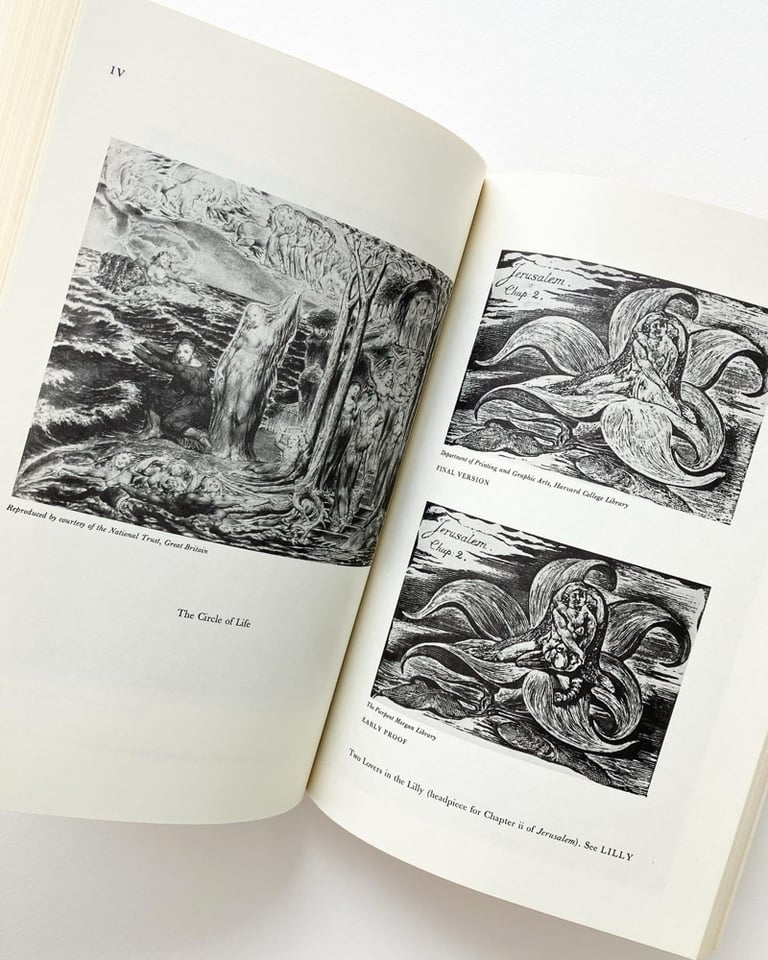 A Blake Dictionary: The Ideas and Symbols of WIlliam Blake. Image 4